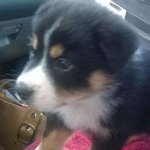 Meet your Posher, Wendy